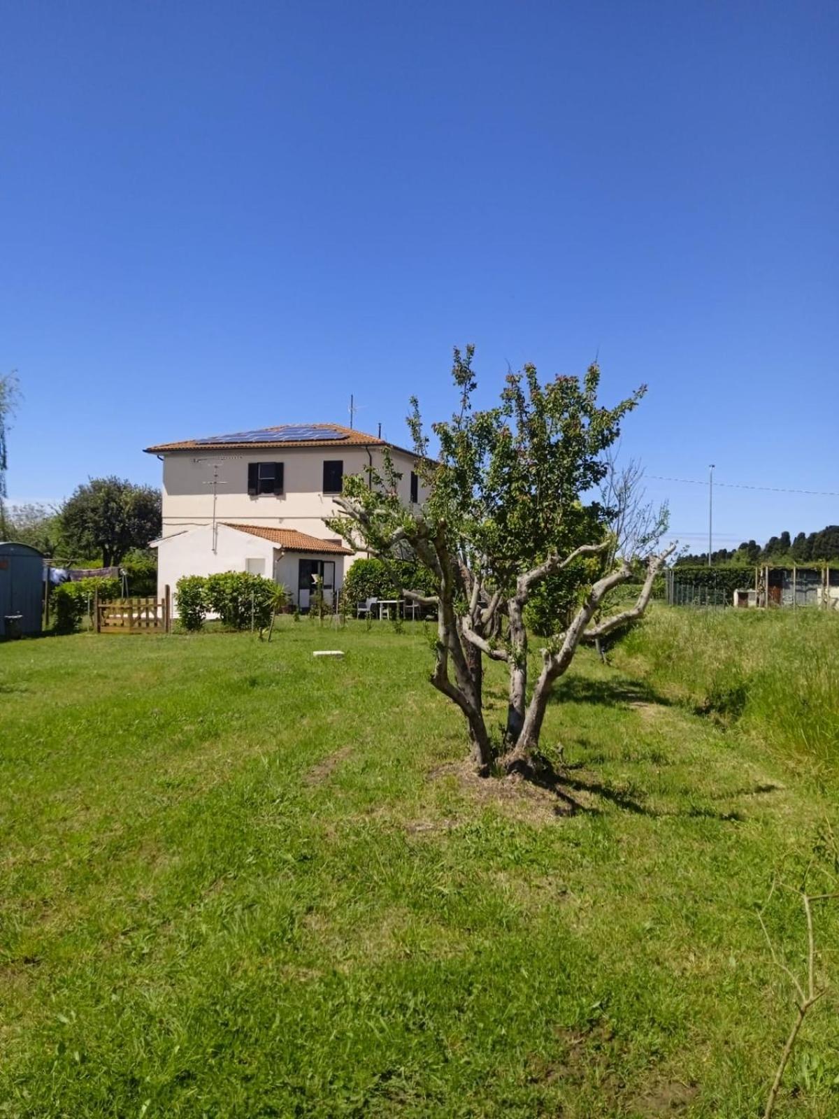 Rosignano Marittimo Rosa Bianca Appartement Buitenkant foto